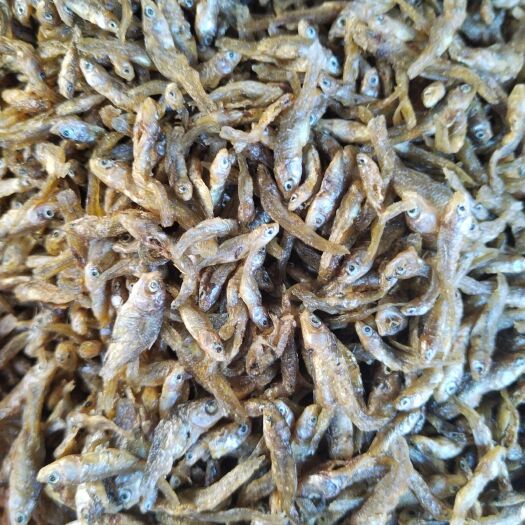 益阳油炸小嫩子小鱼干餐条鱼精品鱼干