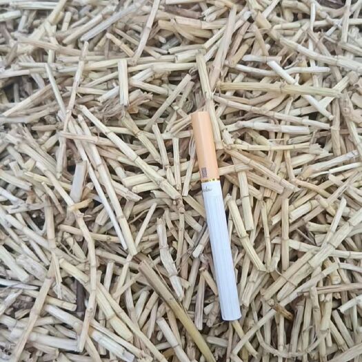 行唐县5公分白茅根