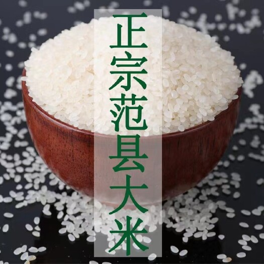 郑州大米，河南范县无公害黄河大米，优质价廉
