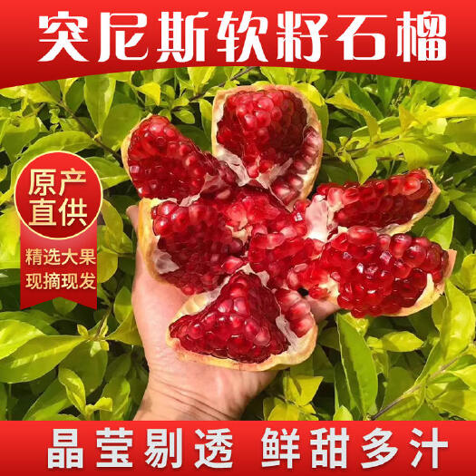宾川县【突尼斯软籽石榴】云南宾川软籽甜石榴 鲜甜多汁