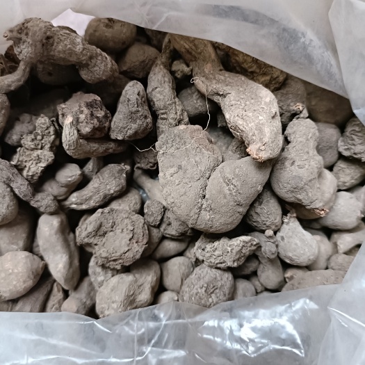  三叶青干货大别山石老鼠金钱胡吊干鲜货批发零售