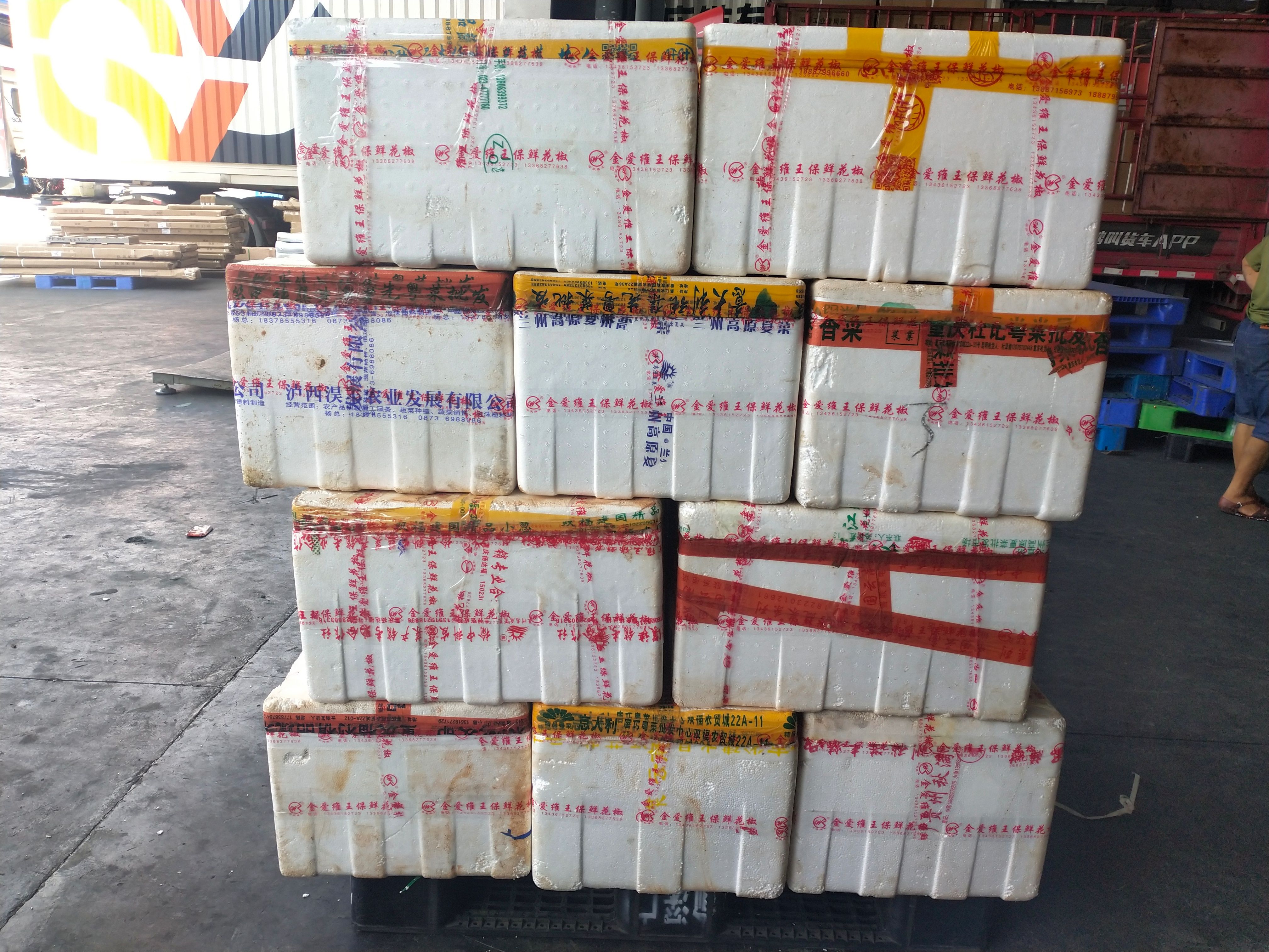 鲜花椒   保鲜花椒