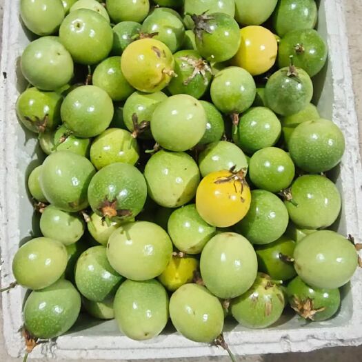 龙胜县钦蜜9号黄金百香果纯甜无酸