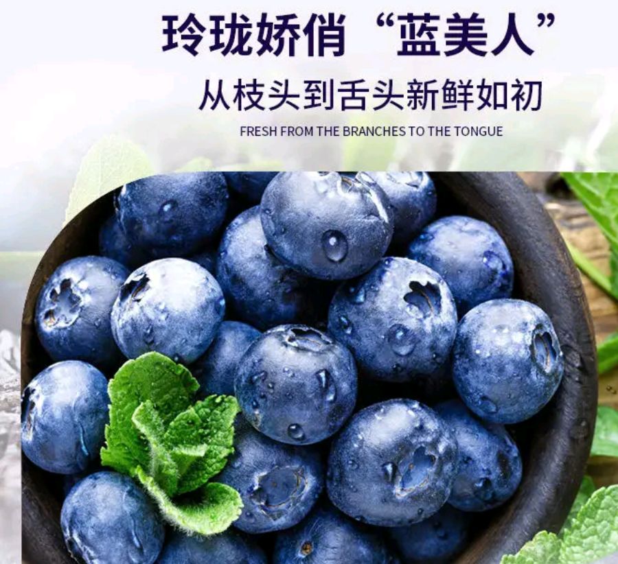 澄江市精品蓝莓 云南优质蓝莓 大量上市 产地直供 一手货源
