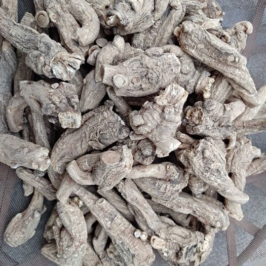 文山市特级云南当归头
