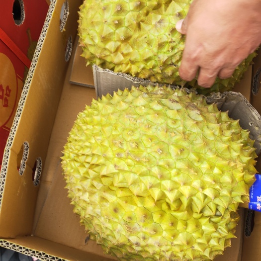 昆明泰国金枕榴莲