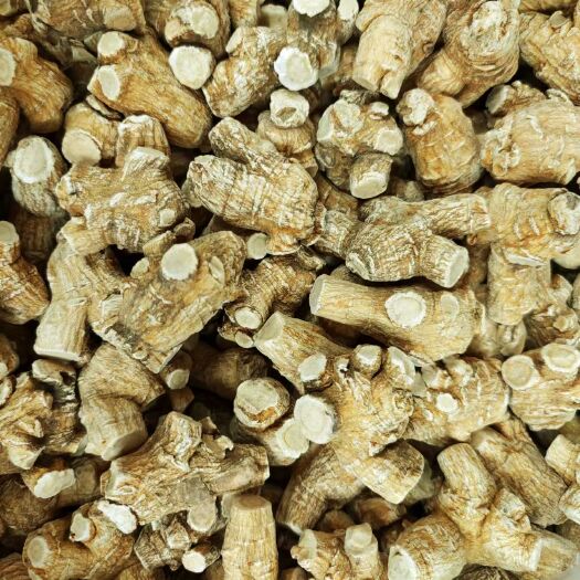 广州特大西洋参15g/20g/25g花旗参参条、粒头特大整枝软枝
