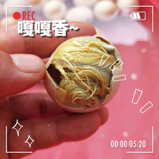 沭阳县土鸡蛋毛蛋，实蛋批发