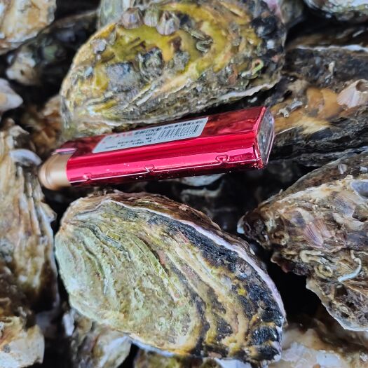 漳浦县牡蛎 漳州生蚝产地供应，货源稳定