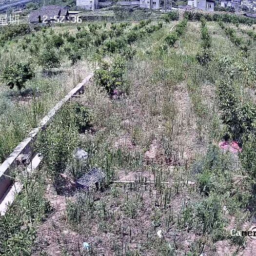 成都果园鱼塘转让