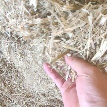 白城玉米柔丝秸秆方包