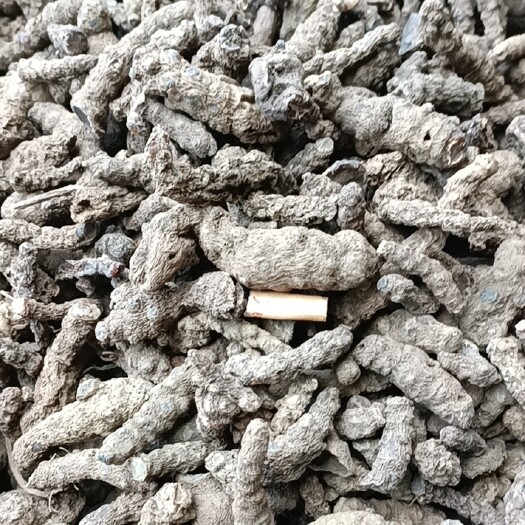 兴仁市藤三七块根鲜货及干货 剂 量大优惠并包邮