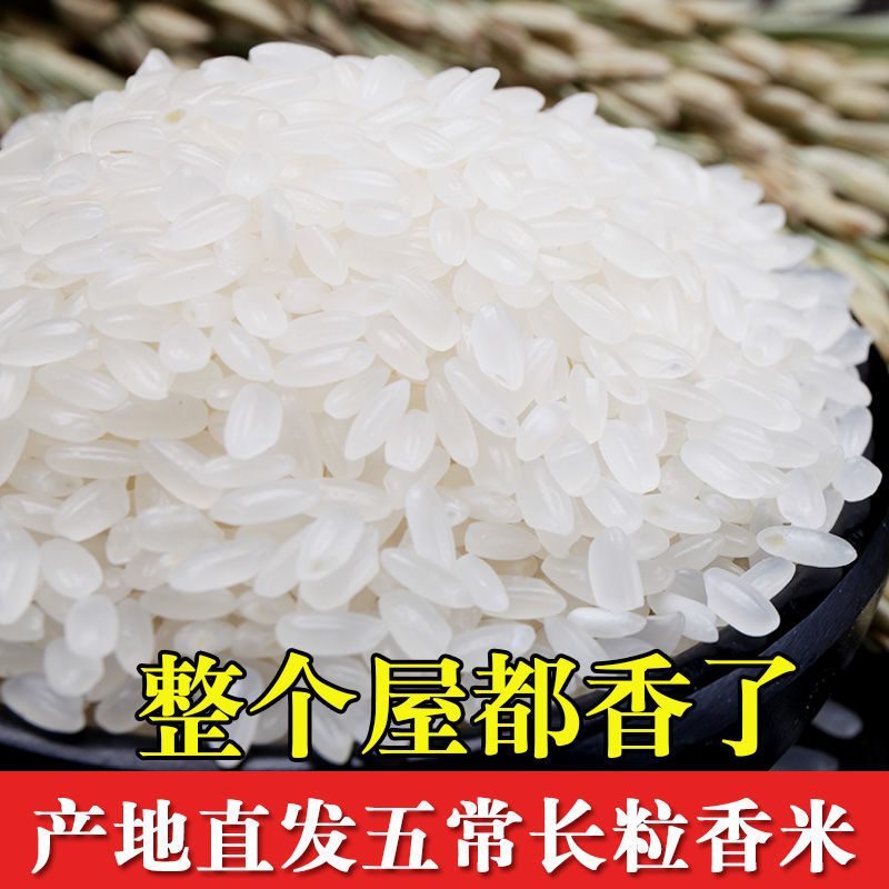 五常长粒香大米，东北大米，批发价格优惠。