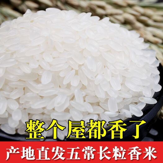 五常长粒香大米，当季新米，东北大米，批发价格优惠，产地直发。