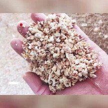 灵璧县玉米芯