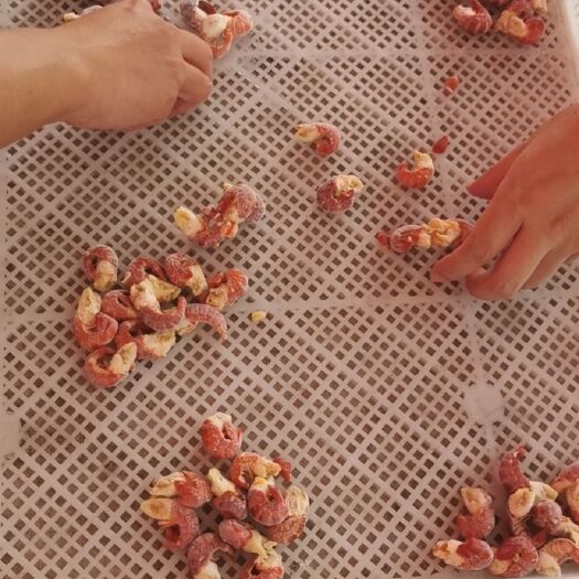 干冻虾尾 各种规格 货源充足 物美价优 持续供应