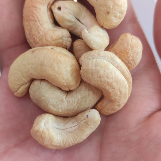 新乡180生腰果