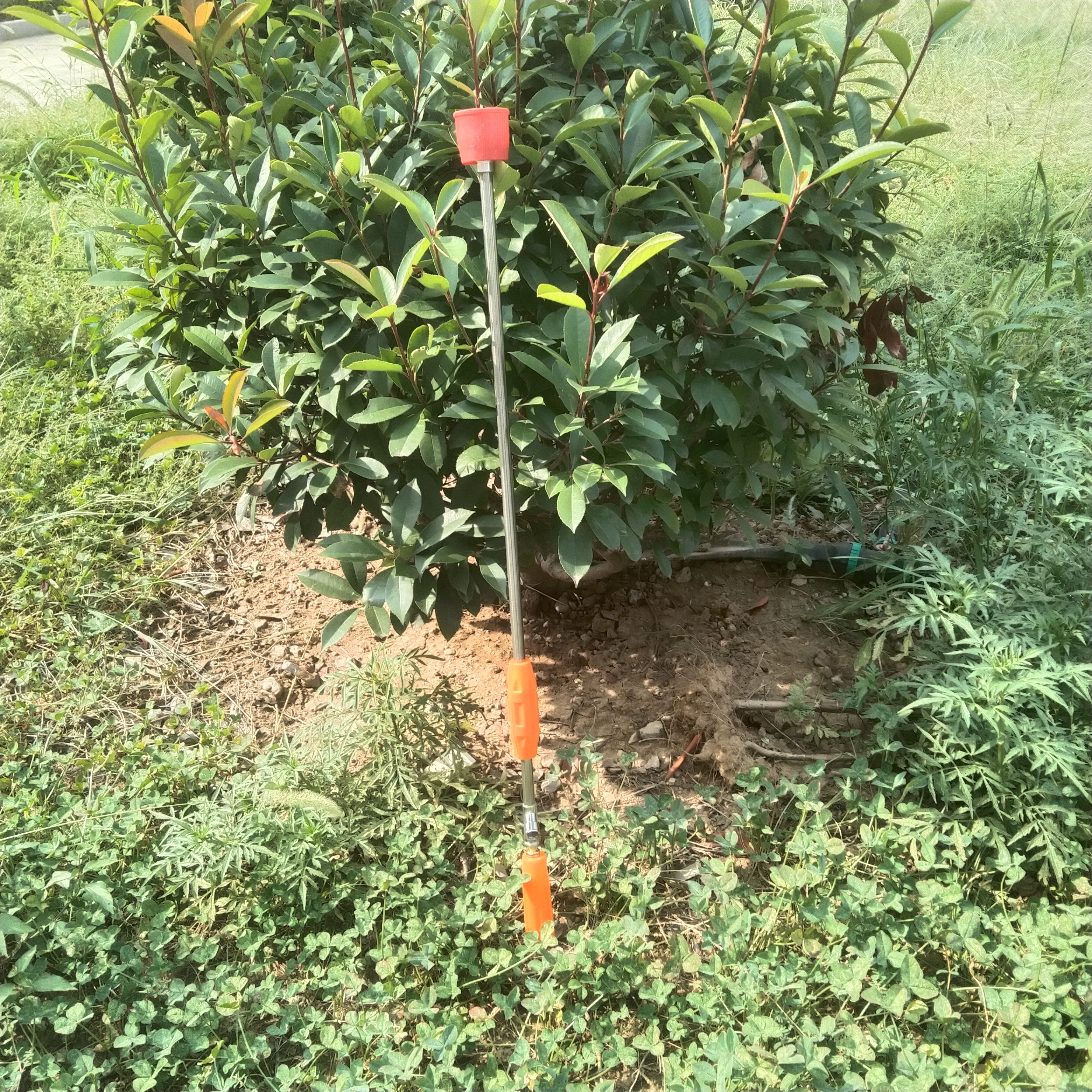 90型噴槍 果樹園林農(nóng)業(yè)莊稼除蟲打藥噴槍