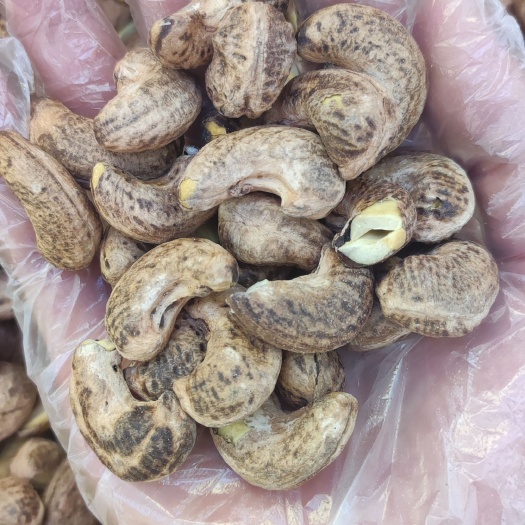 新乡180带衣大腰果