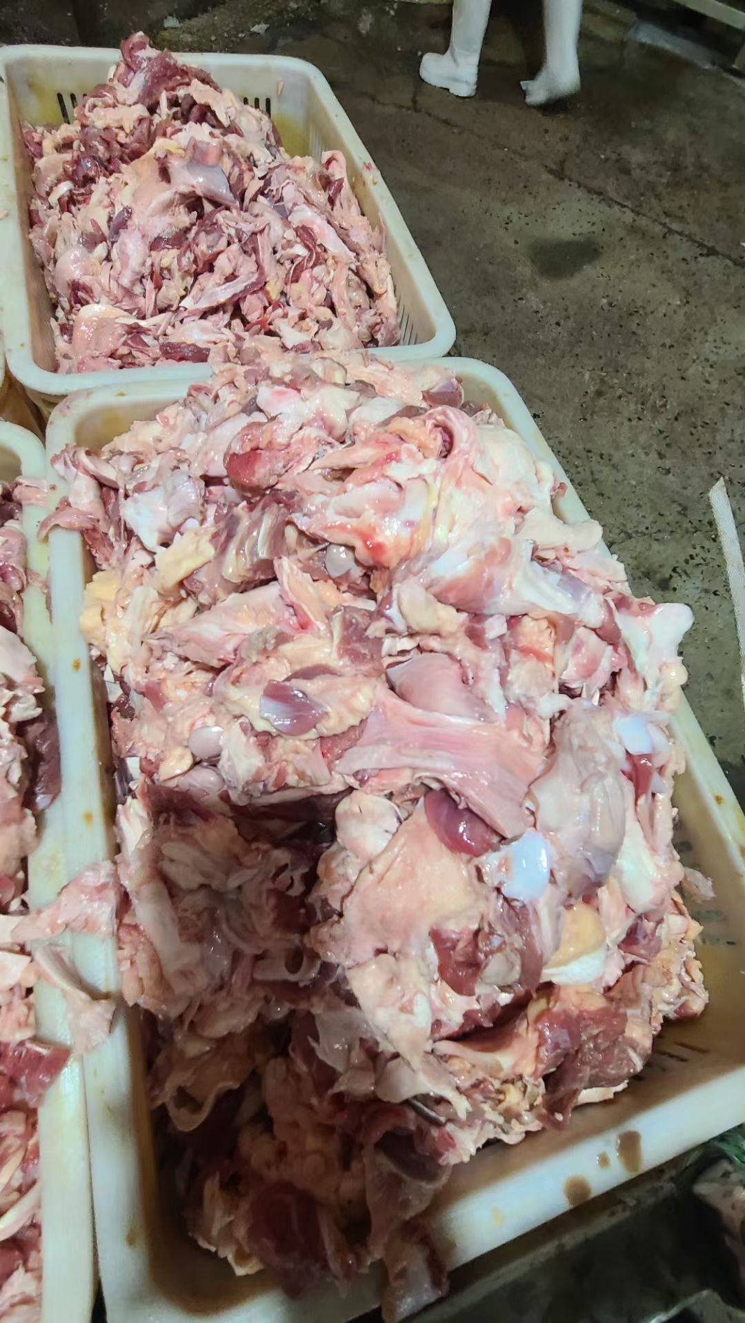 棒骨筋 筋头巴脑