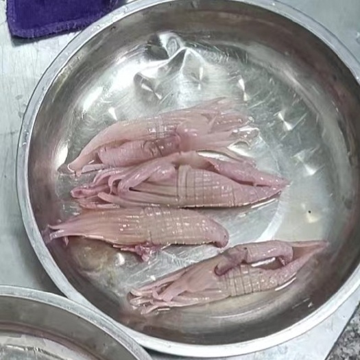 重庆市火箭鱿鱼，火锅麻辣烫，串串冒菜，爆炒铁板烧，经典美味必点佳肴