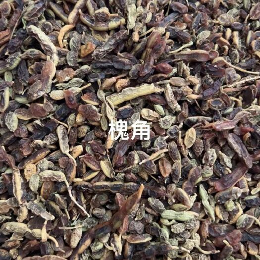 安阳槐角