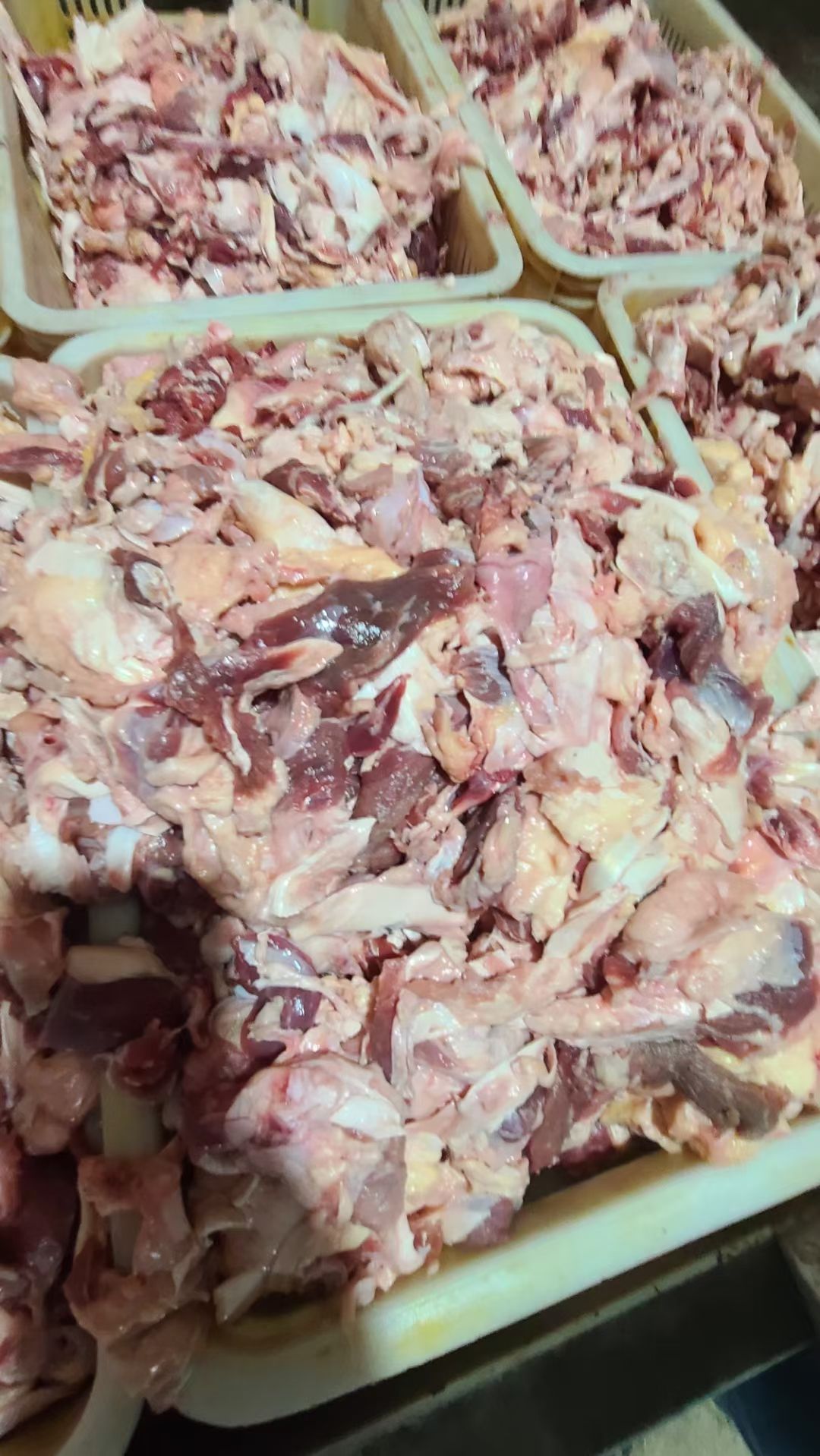 棒骨筋 筋头巴脑