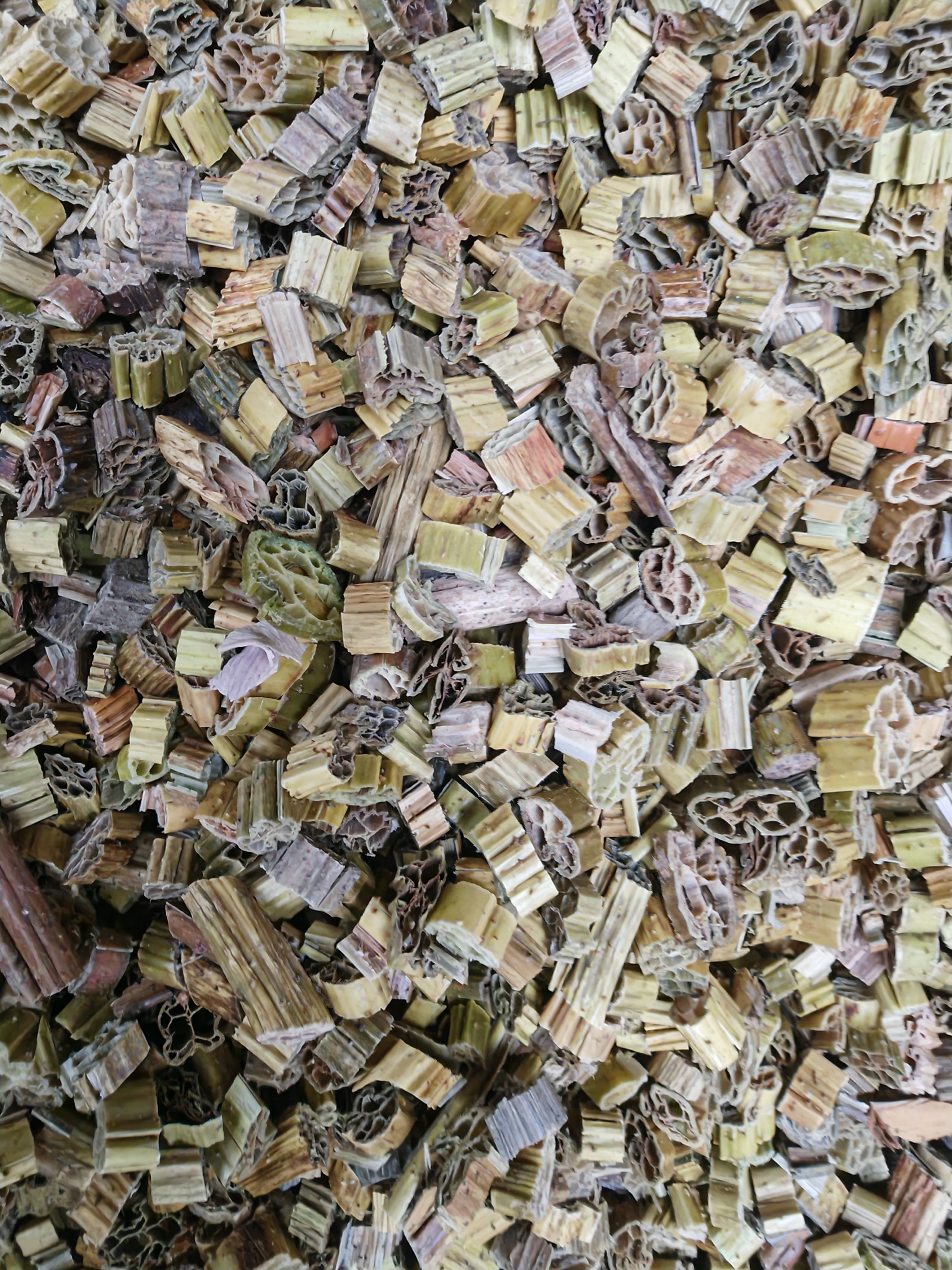 菏叶梗菏叶杆子颗粒