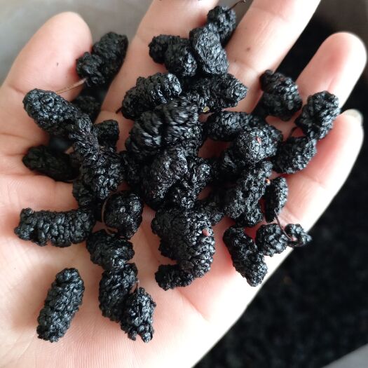 桑椹,黑桑椹干,可药食同源,量大从优