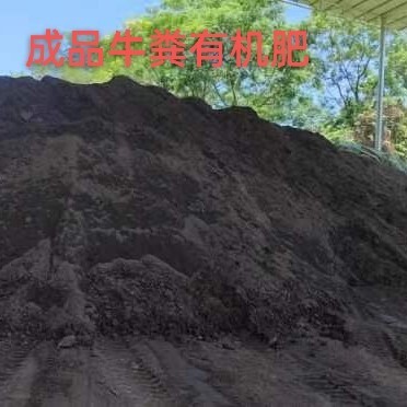 大新县牛粪