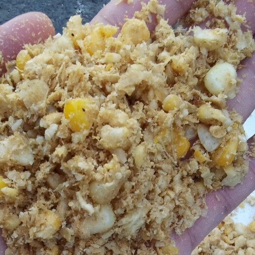 公主岭市全是玉米粒，熟玉米，酵素熟玉米，玉米糖浆水分25代替玉米