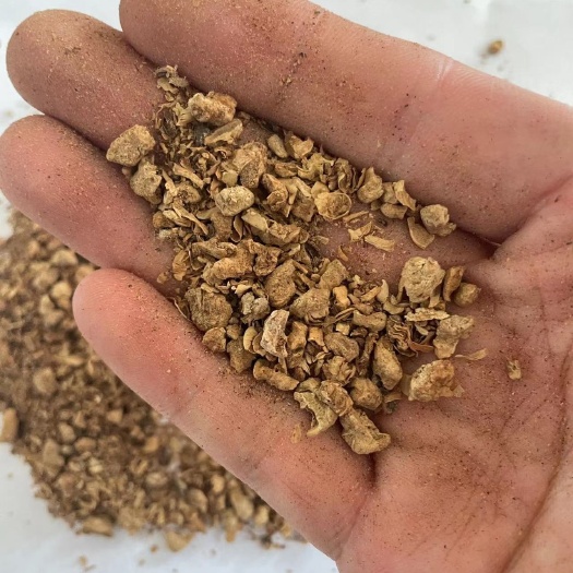 莒南縣烘干金針菇渣，肥料，養(yǎng)殖用途多多