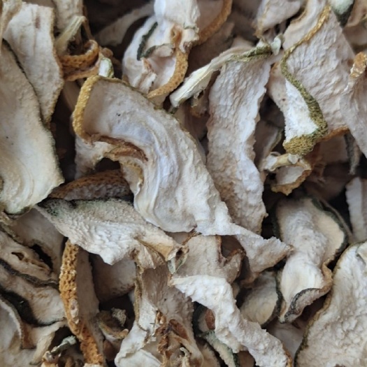 苍溪县佛手果，苗，南北方都可以种植