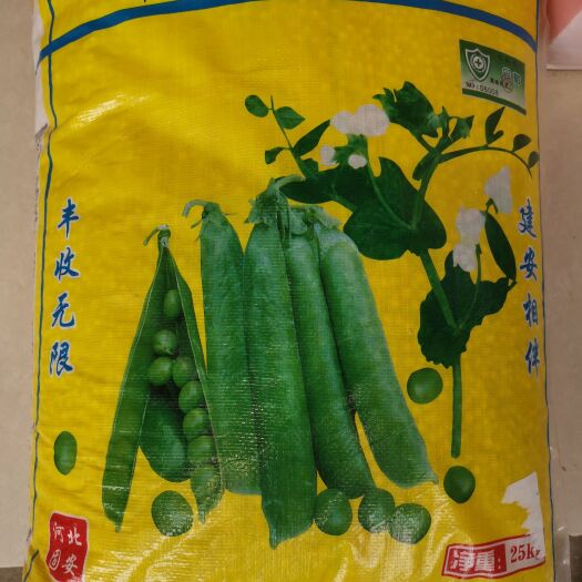 中碗4号（荷兰豆）皮薄，香甜，耐寒