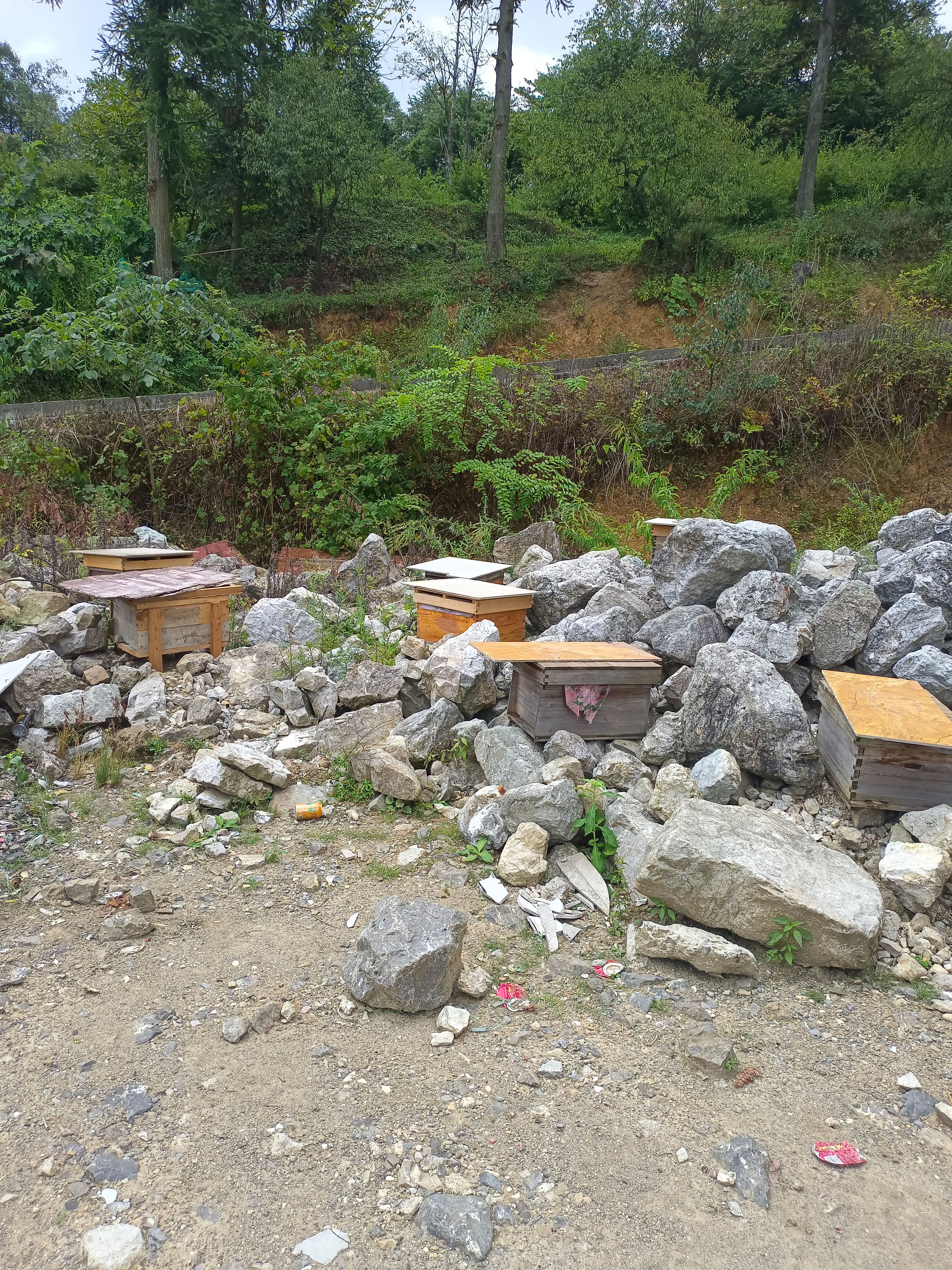 贵州大山里的原生土蜂蜜