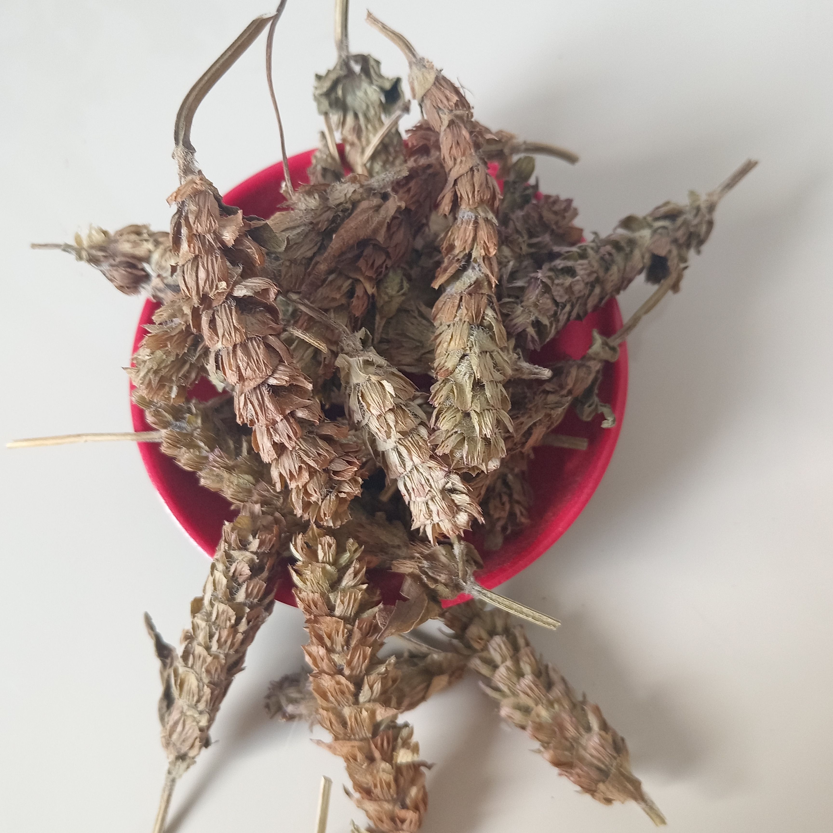 夏枯球，夏枯草，鲁赣药材批发，量大从优