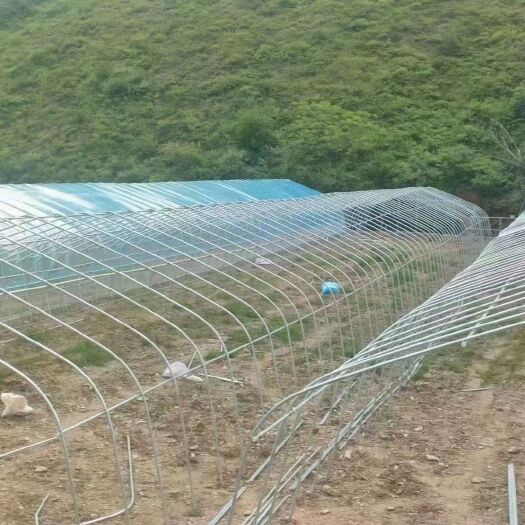 天津各种大棚   大棚配件