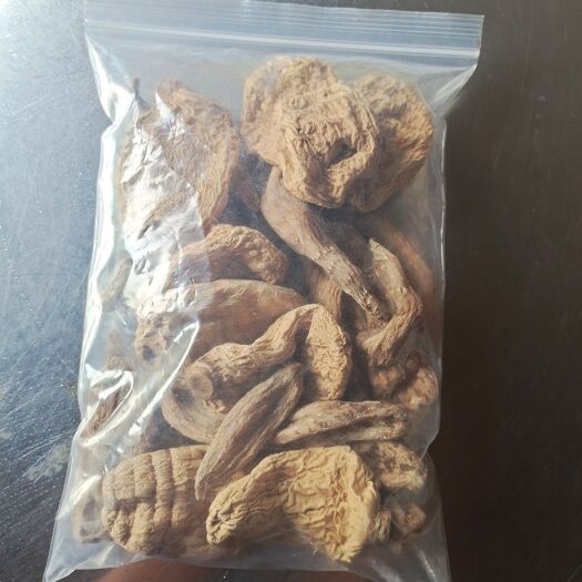 城口天麻