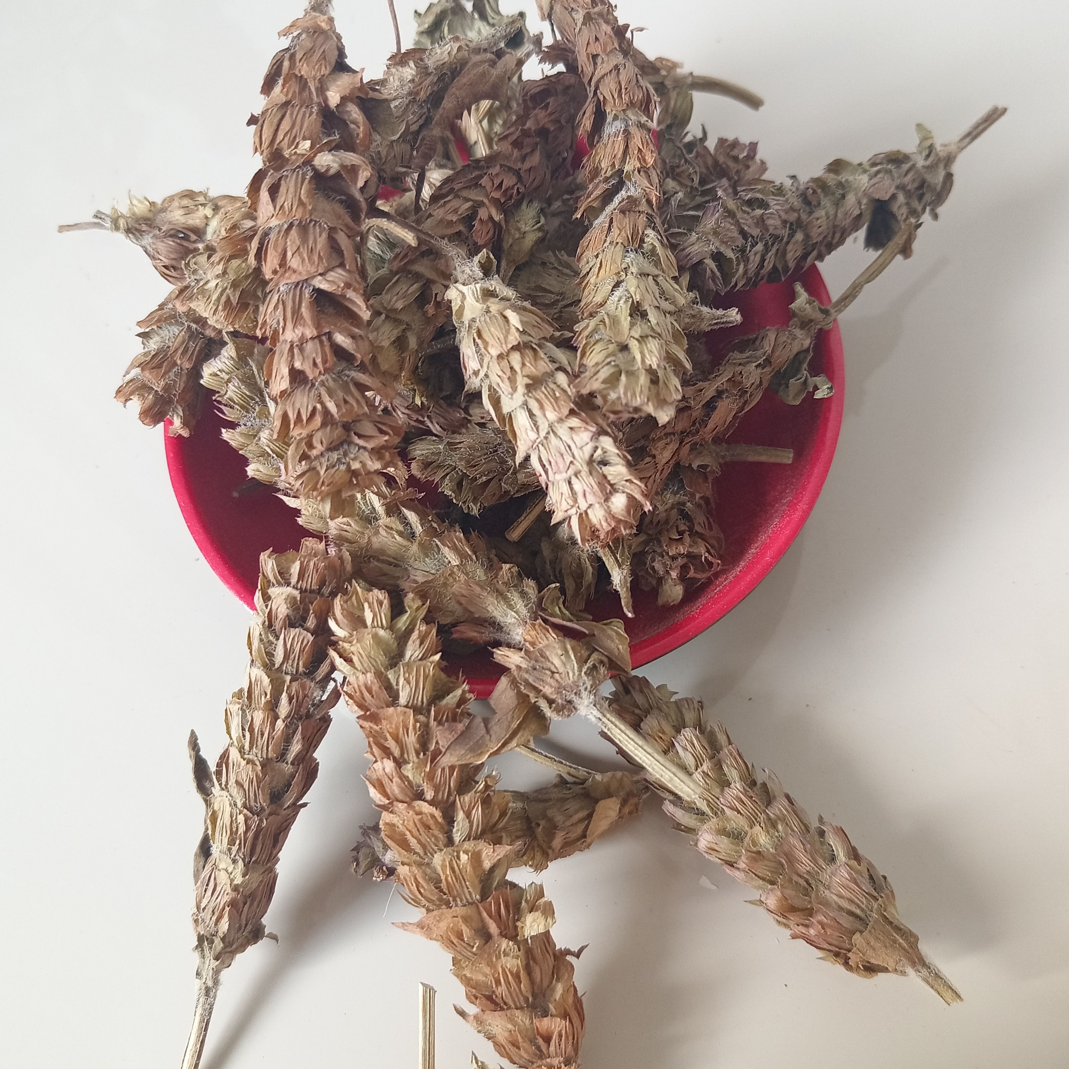 夏枯球，夏枯草，鲁赣药材批发，量大从优