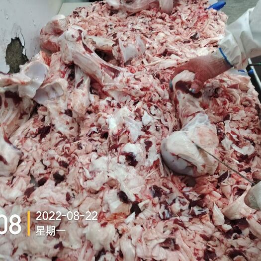 阳信县牛棒骨筋  包装可以定制 卤菜 炖煮都可用工厂直营