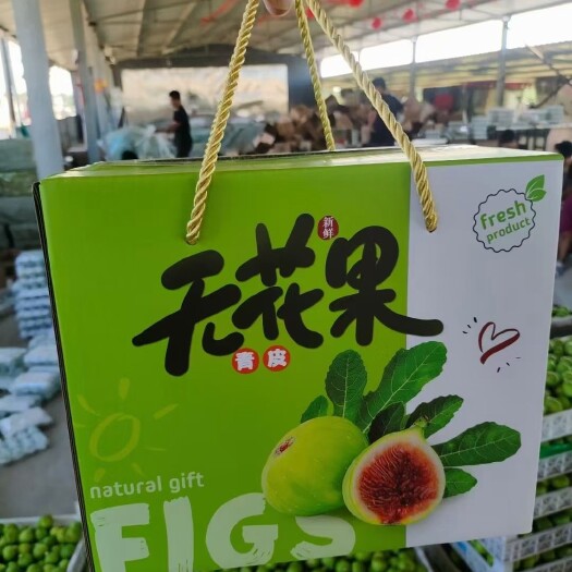荣成市山东威海绿皮无花果  顺丰空运包邮