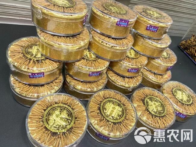 网红那曲小虫草一盒100条高海拔冬虫夏草送礼自吃都很划算