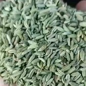 瓜州县甘肃产地直发小茴香，质量保证，量大从优
