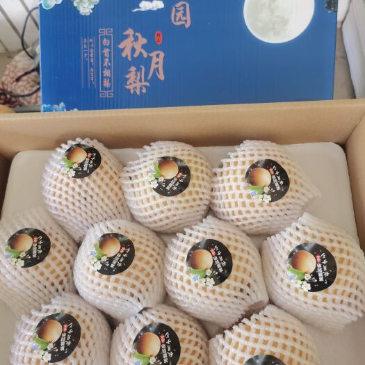赵县秋月梨，皇冠梨，水晶梨，雪花梨，红香酥梨，海量货源，物美价廉