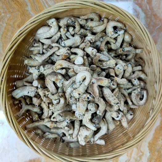 香菇脚一剪，产地直供