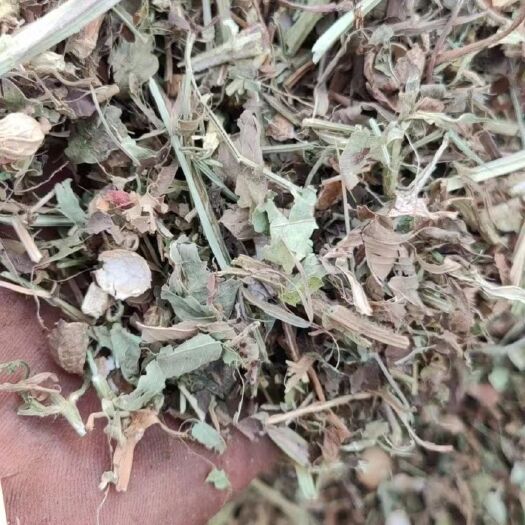 洛阳优质花生秧粉，无土无膜无霉变！同等价格比质量，同等质量比价格