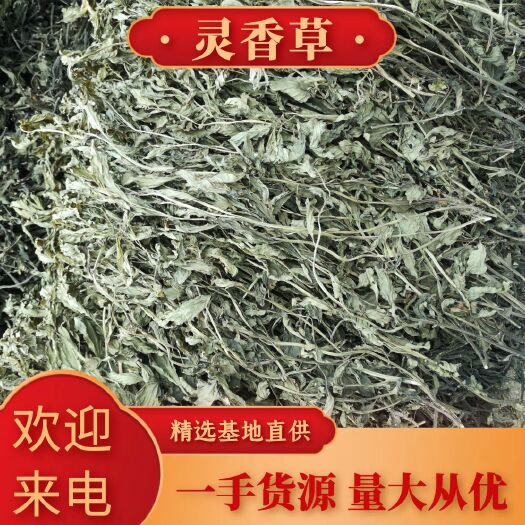 马关县【精品】灵香草