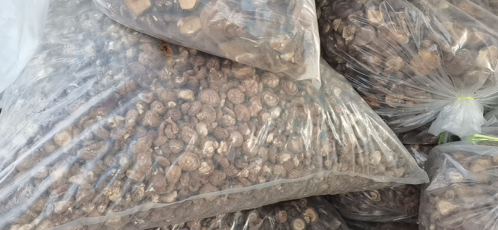 干香菇批发价，