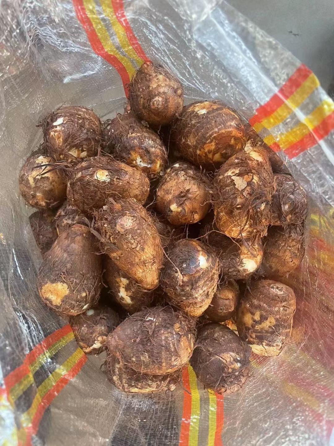 山东芋头，芋头种大量供应全国发货