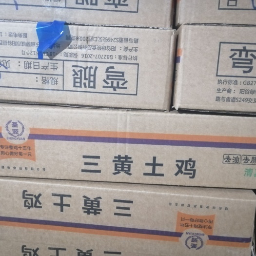 阳谷县三黄鸡 肉食鸡 白条鸡